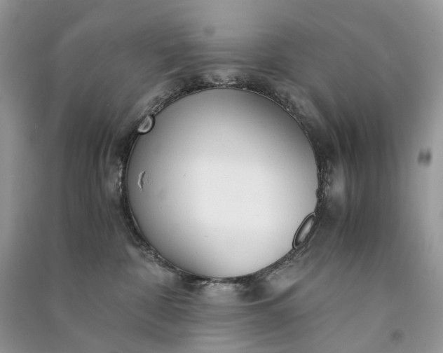 X0000090920332200708131438