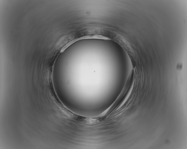 X0000090920333200708131438