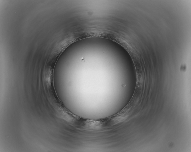 X0000090920334200708131438