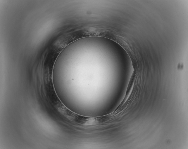 X0000090920335200708131438