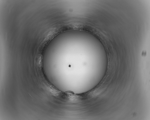 X0000090920336200708131438