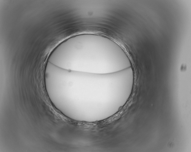 X0000090920337200708131437