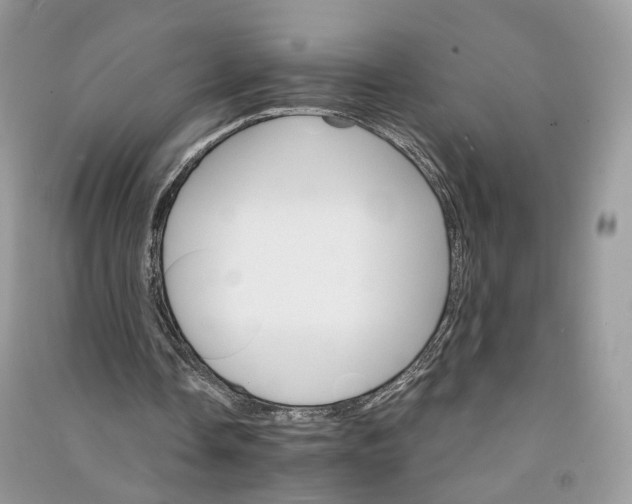 X0000090920338200708131437