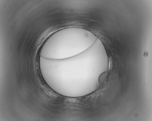 X0000090920339200708131437