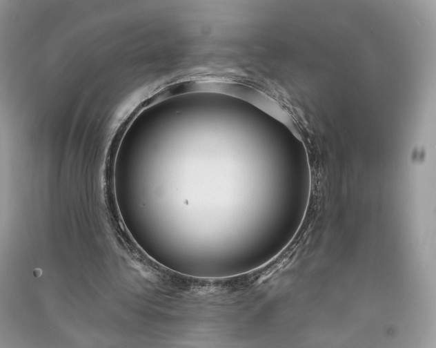 X0000090920340200708131437