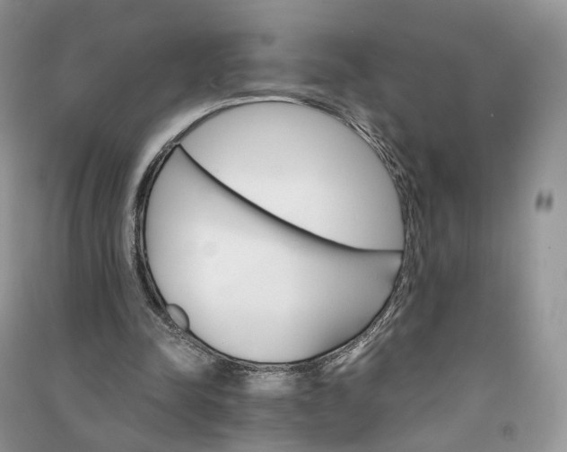 X0000090920342200708131437