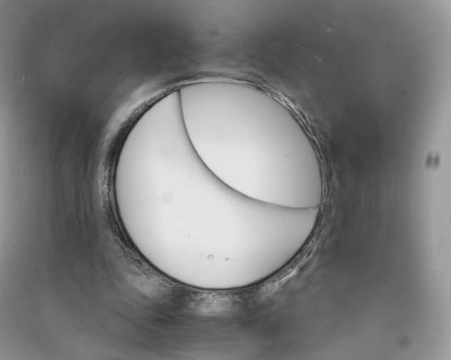 X0000090920343200708131437