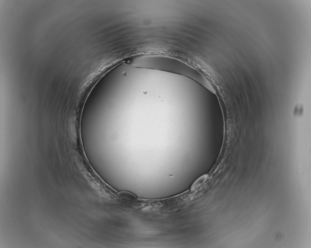 X0000090920345200708131437