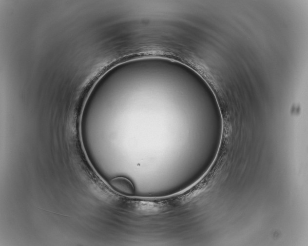 X0000090920347200708131437