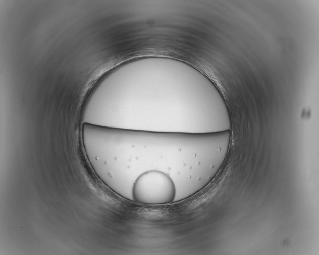 X0000090920349200708131438