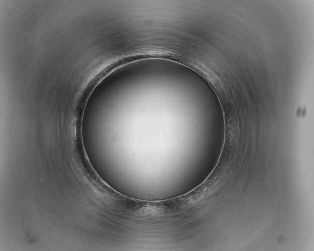 X0000090920350200708131438