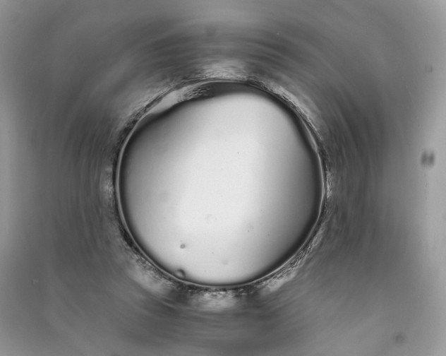 X0000090920353200708131438