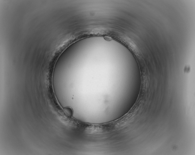 X0000090920354200708131438