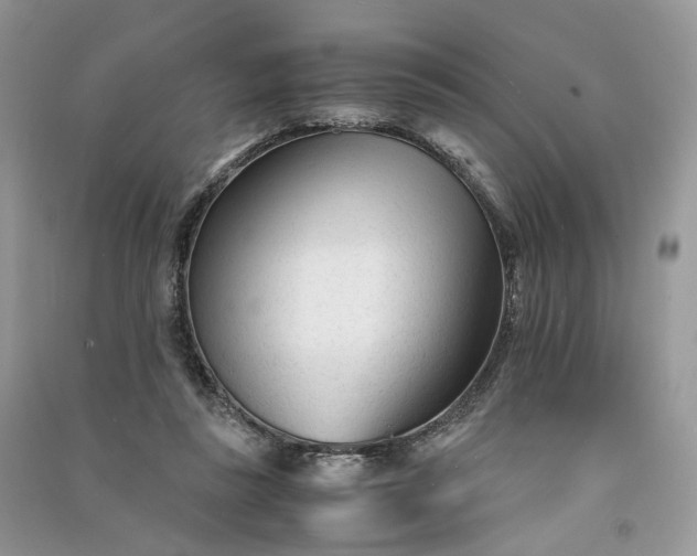 X0000090920355200708131438