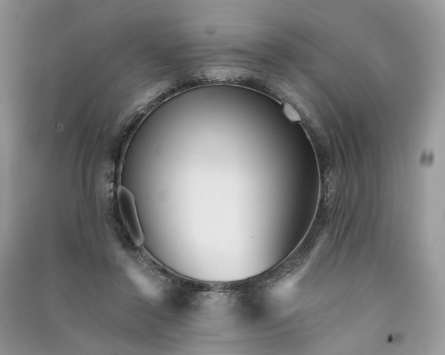 X0000090920356200708131438