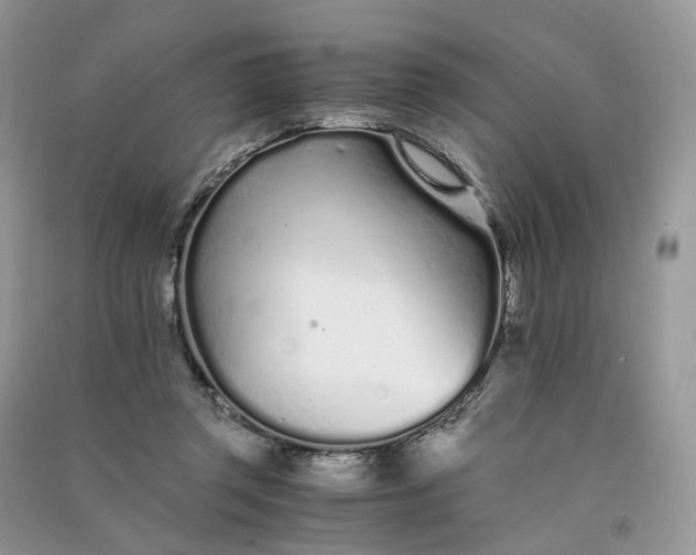 X0000090920357200708131438