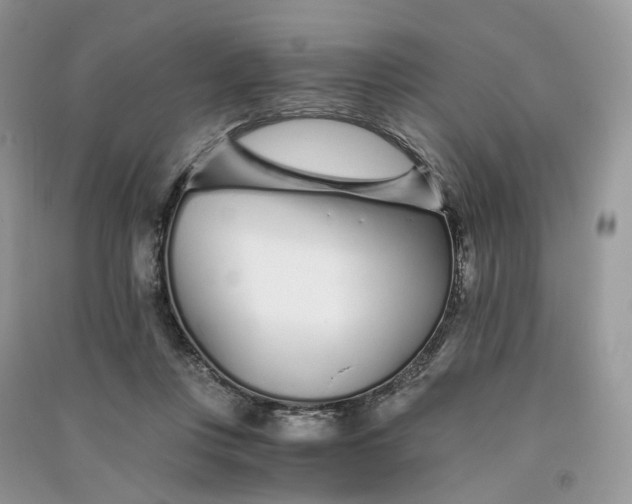 X0000090920359200708131438