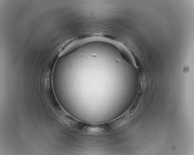 X0000090920360200708131438