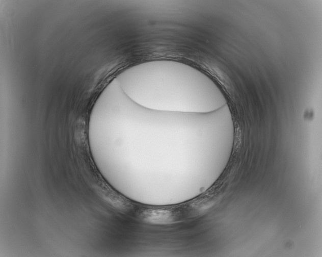 X0000090920361200708131438