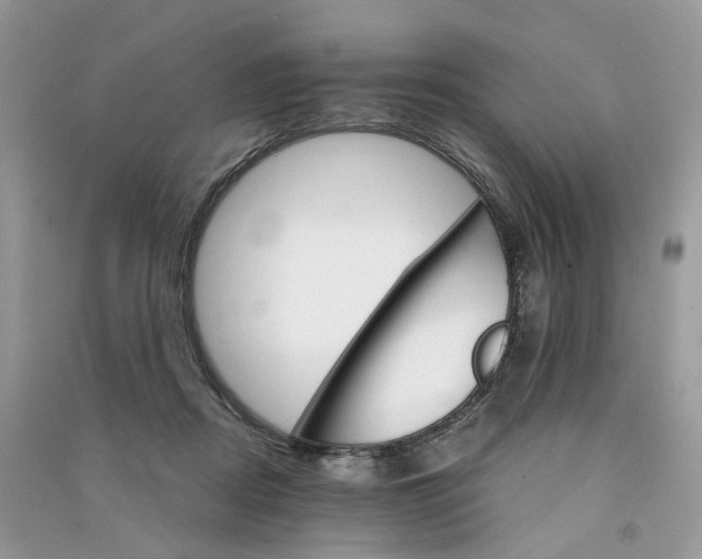 X0000090920362200708131438