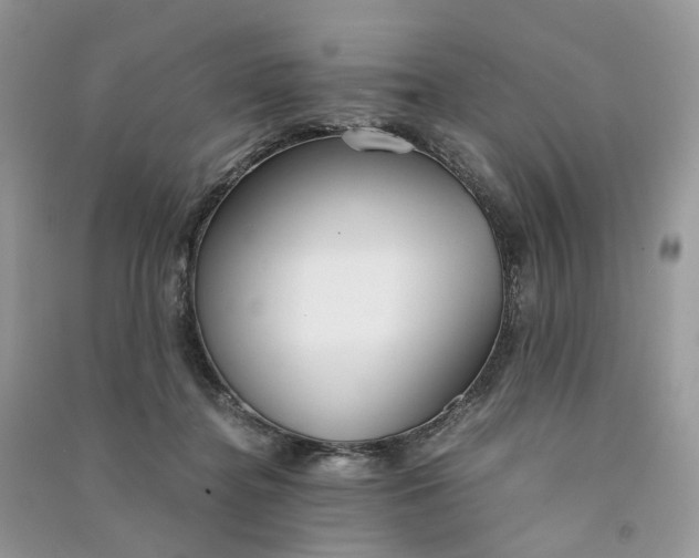 X0000090920364200708131438