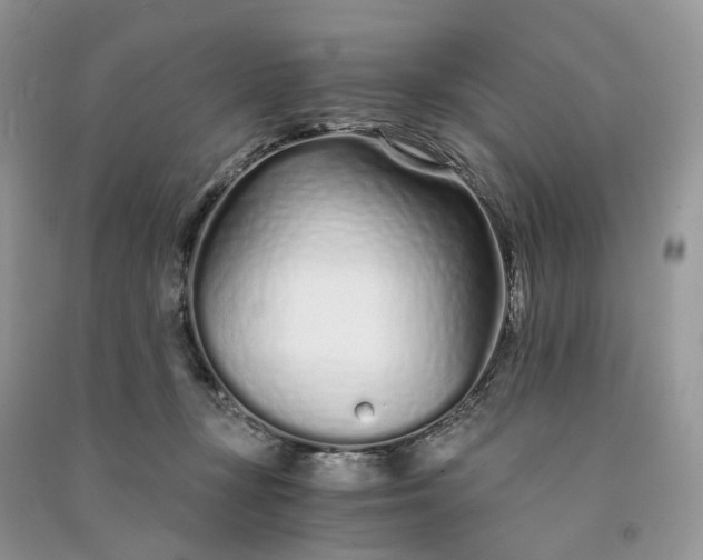 X0000090920367200708131438