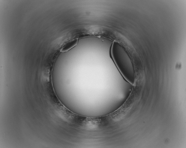 X0000090920368200708131438