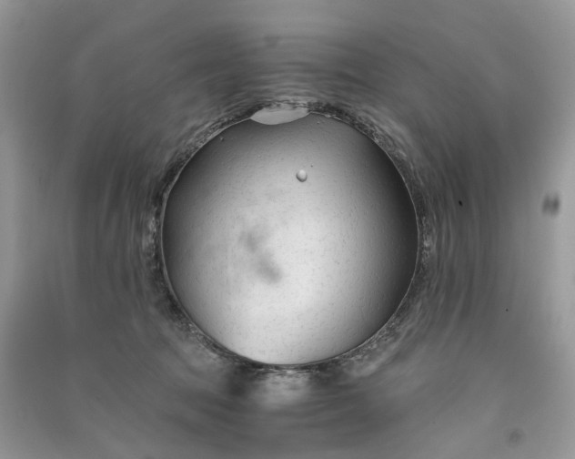 X0000090920369200708131438