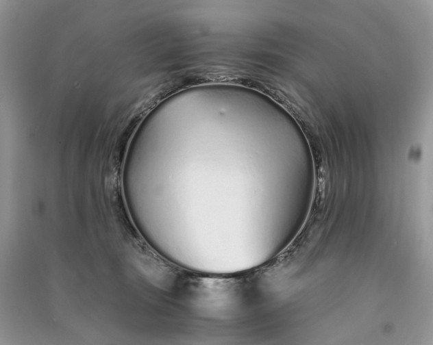 X0000090920371200708131438