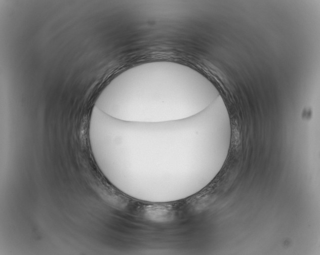 X0000090920373200708131438