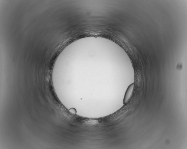 X0000090920374200708131438