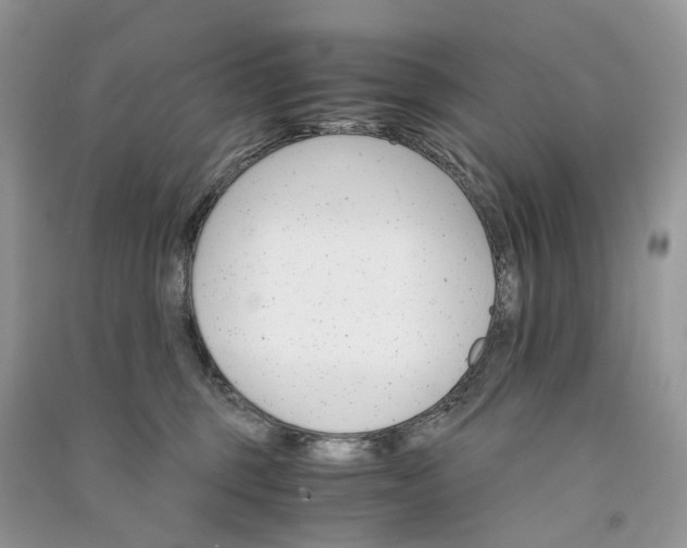 X0000090920375200708131438