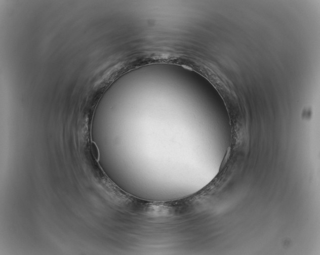 X0000090920376200708131438