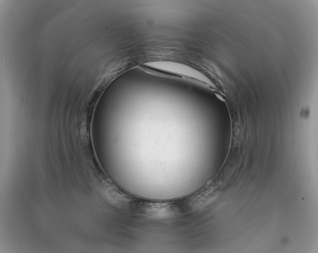 X0000090920377200708131438