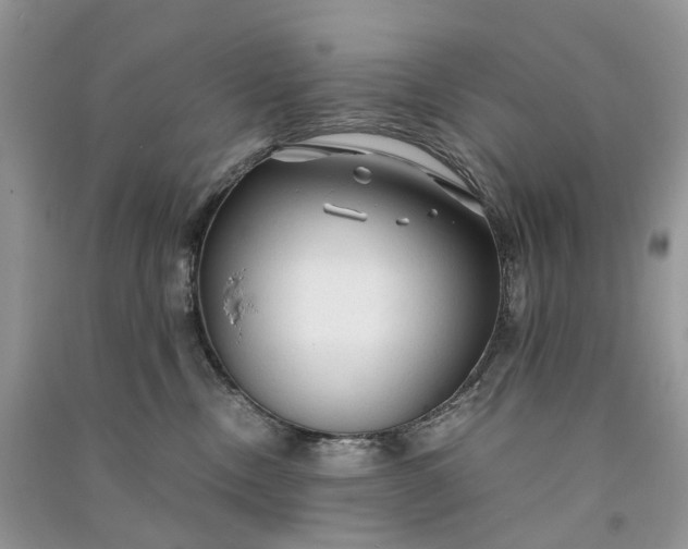 X0000090920378200708131438