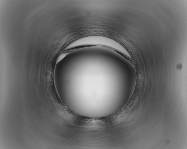 X0000090920379200708131438