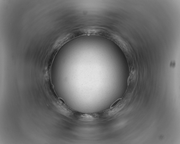 X0000090920381200708131438