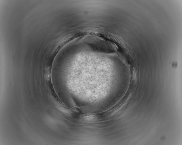 X0000090920383200708131438