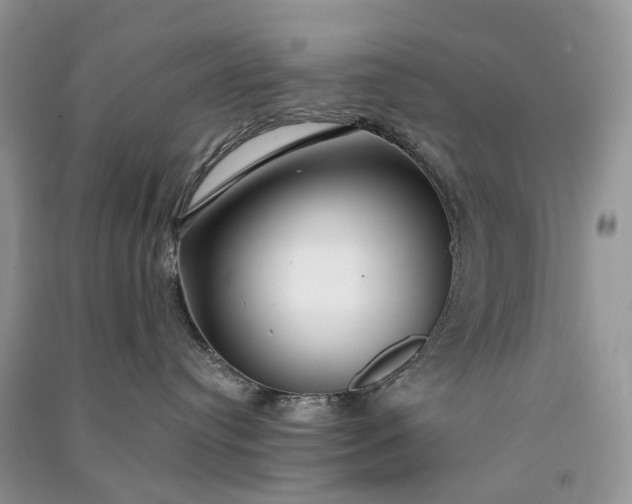 X0000090920384200708131438