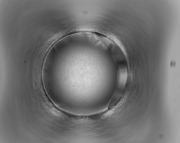 X0000090920385200708131437