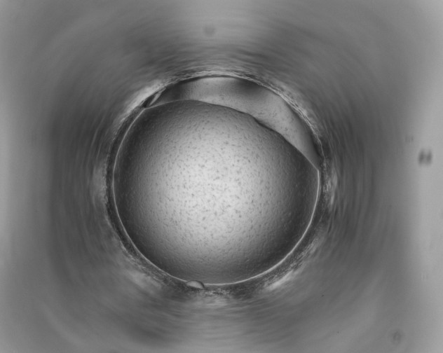 X0000090920386200708131437