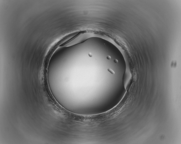 X0000090920388200708131437