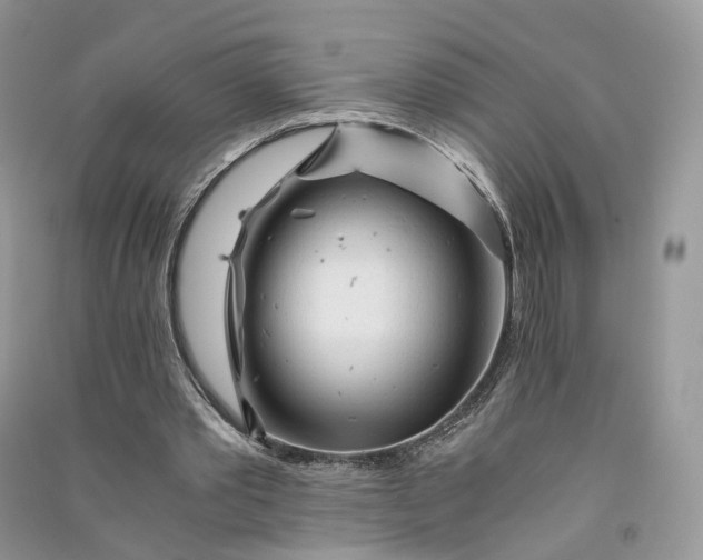 X0000090920389200708131437