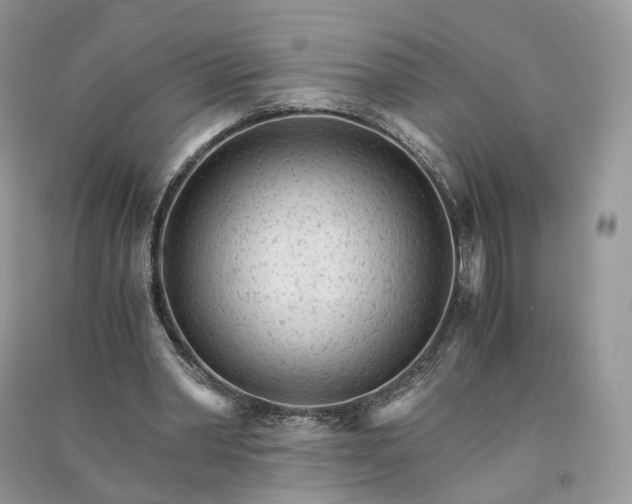 X0000090920390200708131437