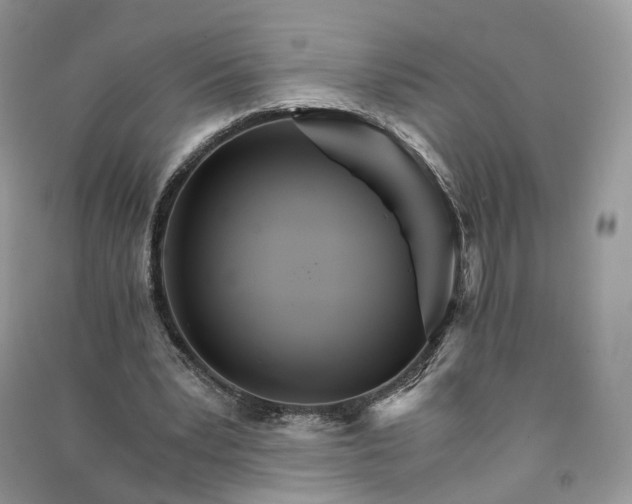 X0000090920391200708131437