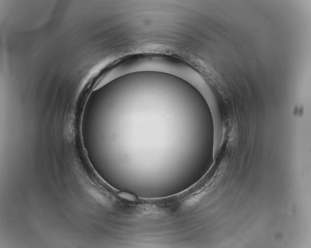 X0000090920392200708131437