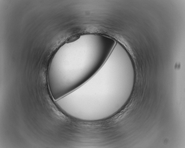 X0000090920393200708131437