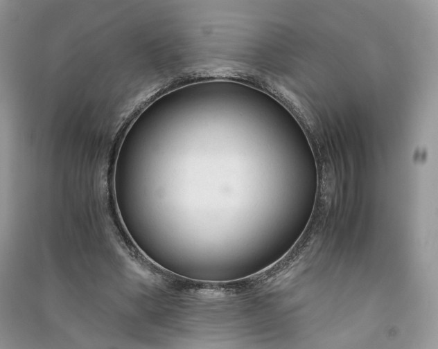 X0000090920394200708131437