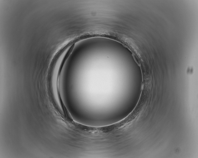 X0000090920395200708131437