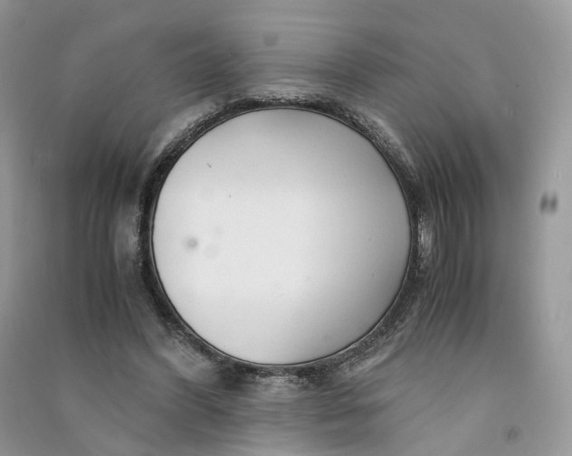 X0000090920396200708131437